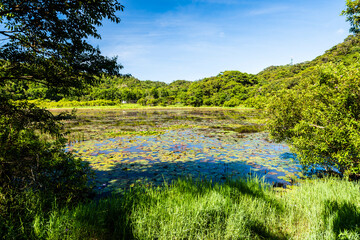 Beautiful Dongyuan Wetland Park in Pingtung, Taiwan.