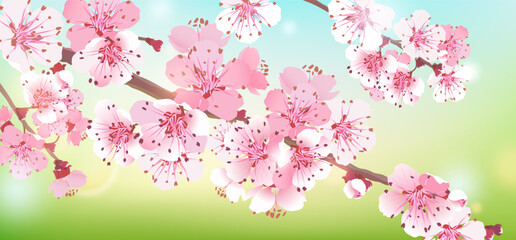 Fototapeta na wymiar Realistic branch of pink Sakura on a blue-green background. Cherry blossom is a symbol of love, spring. Vector illustration for wedding invitations, background. Design for Wallpaper, flower. Bokeh and