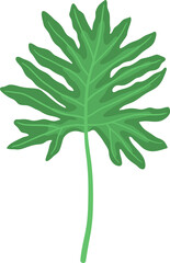 Tropical leaf vector