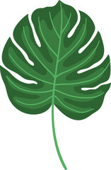 Tropical leaf vector
