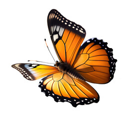 Very beautiful yellow orange butterfly in flight isolated on a transparent background.