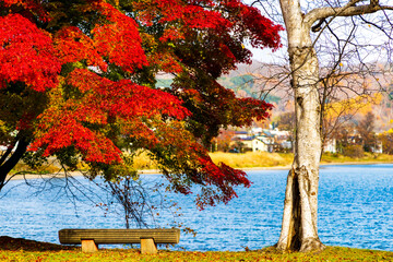 洞爺湖畔の紅葉とベンチ（浮見堂公園）