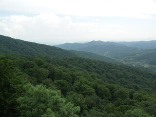 Aussicht über einen Laubwald