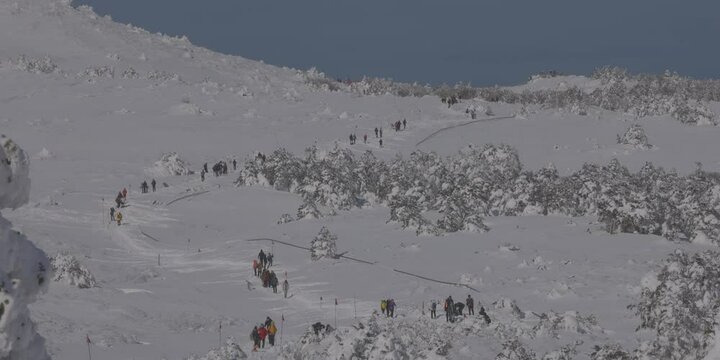 snow mountain, Jeju, Halla