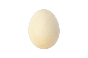 Natural White egg on white background. Clipping Paths.