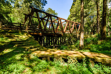 The old forest railway section of the Shuishan Trail at Alishan Forest Recreation Area in Chiayi, Taiwan. Now obsolete and unable to operate.