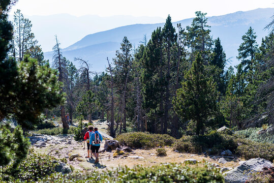 Two backpackers make their way though a forest