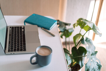 Laptop with coffee cup on desktop with notepad and home plants.