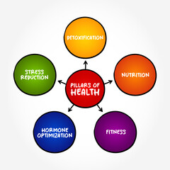Pillars of health mind map text concept for presentations and reports
