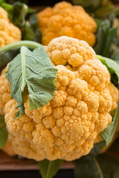 This is an image of nice fresh cauliflower.