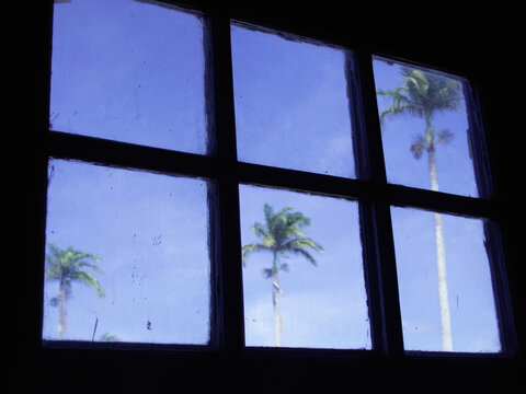 View of palm trees and sky from glass window, Vitoria, Espirito Santo, Brazil.