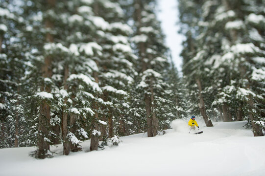Man skiing at Snowbird in winter scenery