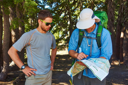 Hikers checking the trail map. Timberline Trail, Mt Hood, OR