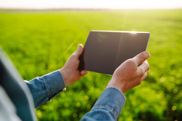 Tablet in the hands of a farmer. Smart farm. Agriculture, gardening or ecology concept.