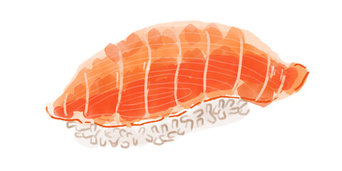 Salmon sushi Japanese food Hand drawn colour illustration