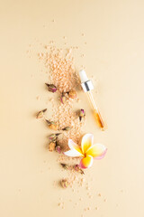 Natural Ayurveda  and Spa wellness centre  concept. Flat lay composition, dropper pippette with...