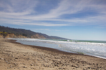 Ano Nuevo State Beach in Pescadero, California