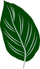 Tropical leaf vector