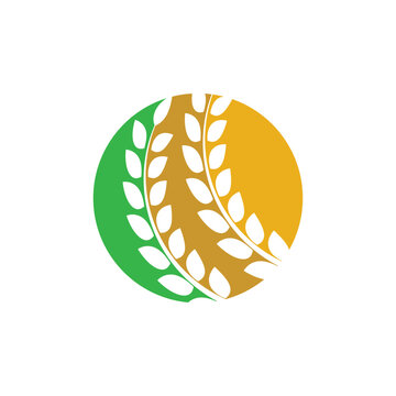 Wheat logo images