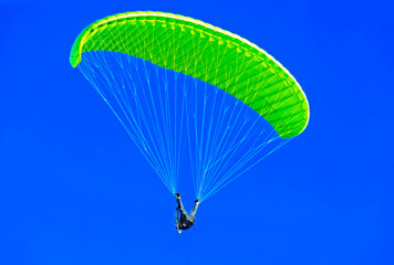 Paraglider