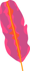Colorful tropical leaf vector
