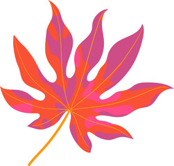 Colorful tropical leaf vector