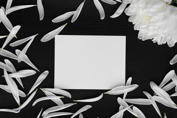 white chrysanthemum  with blank card
