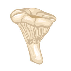 mushrooms in the hand drawing style. Psychedelic abstract mushrooms, hippie style. Vector illustration isolated on a white background.