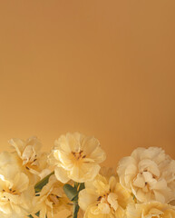Pastel yellow flower frame background, copy space