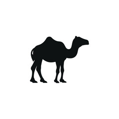 Camel flat icon isolated on white background. Islamic icon vector. Ramadan icon vector