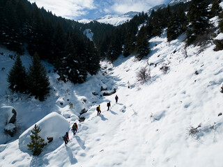 unconscious climbers walking in avalanche zone