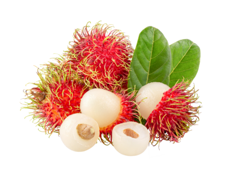 rambutan sweet delicious fruit with leaf isolated on transparent png