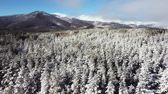 Aerial drone video of a winter mountain forest landscape. Vitosha mountain, Bulgaria, South Eastern Europe.
