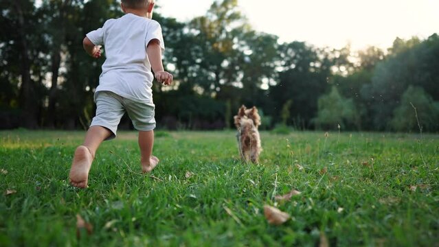 baby and dog. baby boy is playing in the forest park. close-up child legs run on the park green grass in the park. family childhood dream concept. a child in sneakers run on the grass in a fun park