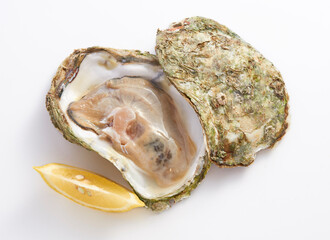 Fresh opened oyster with lemon slice on white background