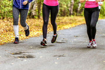 Fototapeta premium legs girls runners in leggings run in autumn Park