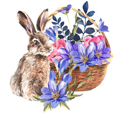 Drawn rabbit, basket and flowers on a white background. Isolate. Watercolor illustration.