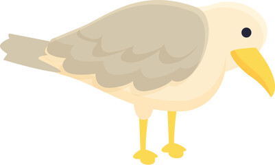 Seagull search food icon cartoon vector. Marine bird. Cute bird