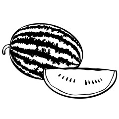 Watermelon outline, Agriculture fruit, Gardening, farming, Organic food