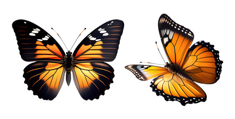Fototapeta na wymiar Set of very beautiful yellow orange butterflies with color transitions isolated on a transparent background. 