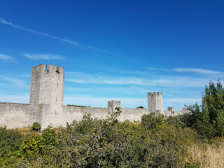Fototapeta na wymiar Medieval stone wall and towers, green trees and bushes and blue sky in Visby, Sweden