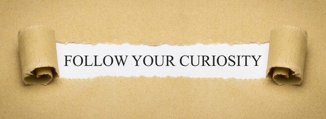 Follow your curiosity