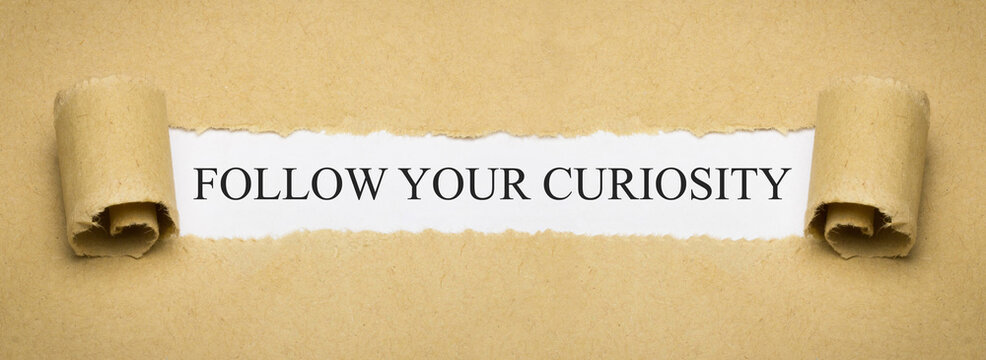 Follow your curiosity