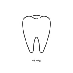 Outline style health care ui icons collection. Vector black linear illustration. Tooth anatomical symbol isolated on white background. Design element for healthcare, dentistry infographic