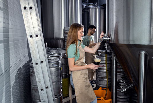 Female Brewer Working In Craft Brewery Examining Quality Of The Beer.