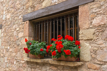 Old stone house with red hydrangeas on the window sill