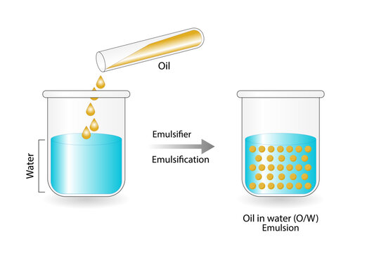 Emulsion, a mixture of two immiscible liquids (oil and water) in beakers, Emulsion oil in water, Immiscible liquids. Emulsification, emulsifier. isolated on white background. Vector illustration.