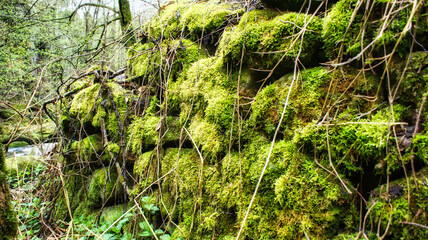 alte Steinmauer
