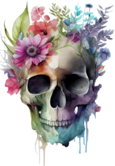 Aluminium Prints Aquarel Skull Skull and Flowers Watercolor Illustration. Generative ai