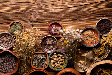 Fototapeta na wymiar Natural medicine background. Assorted dry herbs in bowls, mortar and plants on rustic wooden table.